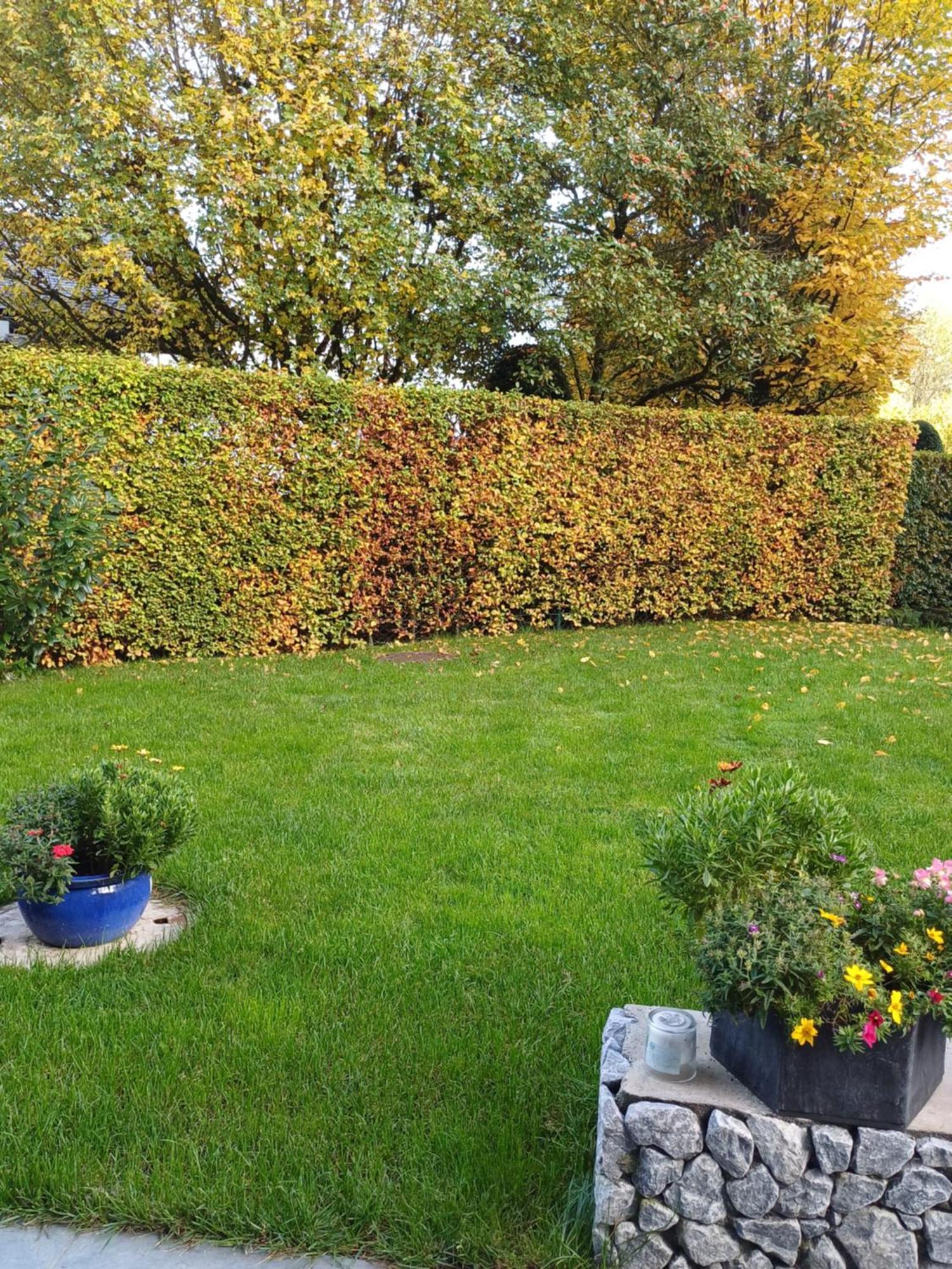 נוסדורף אם אטרסי Ferienwohnung Claudia Mit Terrasse מראה חיצוני תמונה